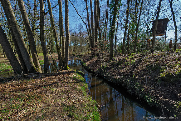 Beken rondom Elspeet 310320-144