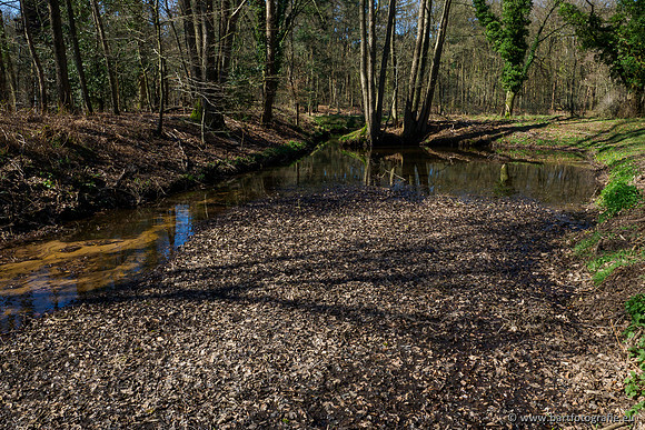 Beken rondom Elspeet 310320-146
