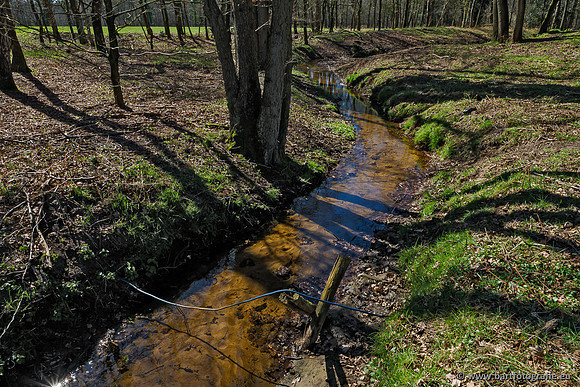 Beken rondom Elspeet 310320-148