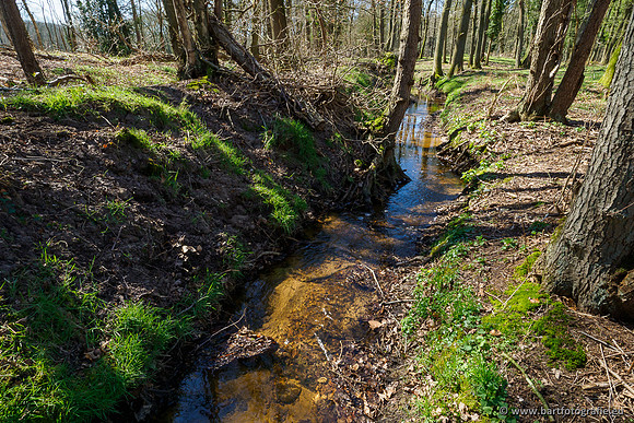 Beken rondom Elspeet 310320-149