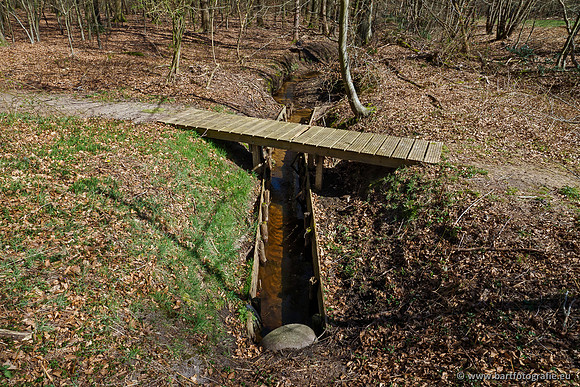 Beken rondom Elspeet 310320-155