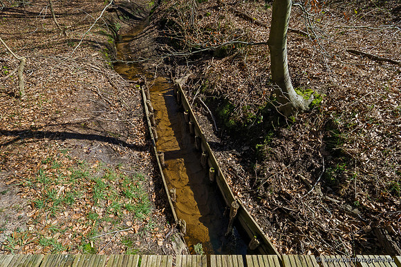 Beken rondom Elspeet 310320-156