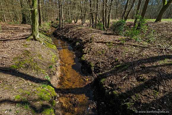 Beken rondom Elspeet 310320-157