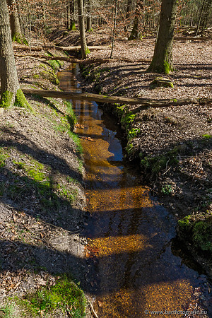 Beken rondom Elspeet 310320-159