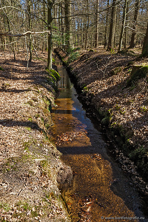 Beken rondom Elspeet 310320-160