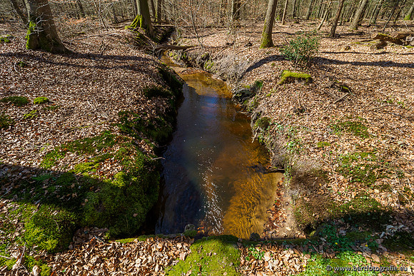 Beken rondom Elspeet 310320-161