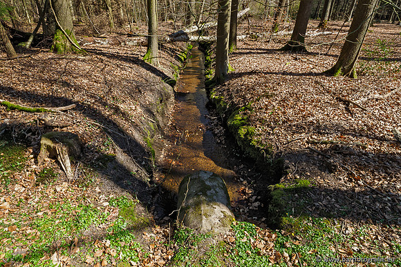 Beken rondom Elspeet 310320-166