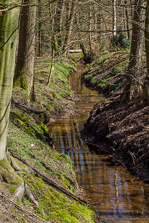 Beken rondom Elspeet 310320-167