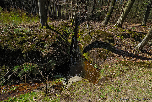 Beken rondom Elspeet 310320-178