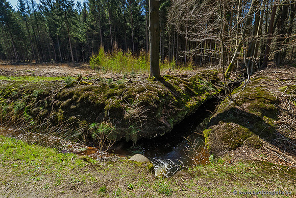 Beken rondom Elspeet 310320-179