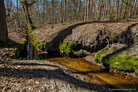 Beken rondom Elspeet 310320-186