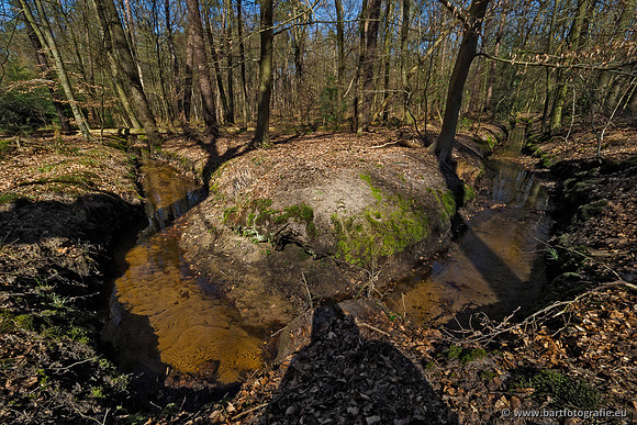 Beken rondom Elspeet 310320-197