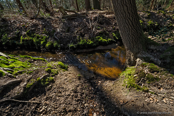 Beken rondom Elspeet 310320-201