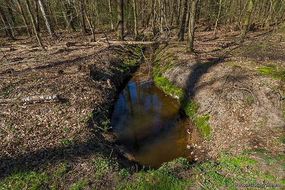 Beken rondom Elspeet 310320-204
