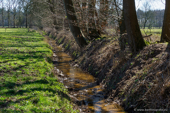 Beken rondom Elspeet 310320-206