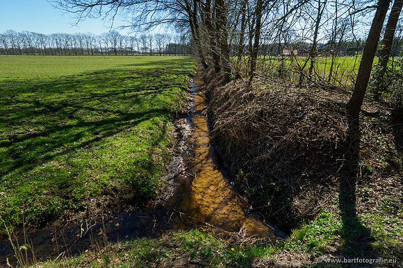 Beken rondom Elspeet 310320-205