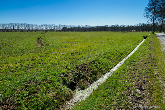 Beken rondom Elspeet 310320-213