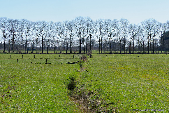 Beken rondom Elspeet 310320-214