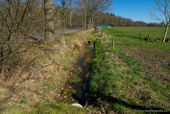 Beken rondom Elspeet 310320-223