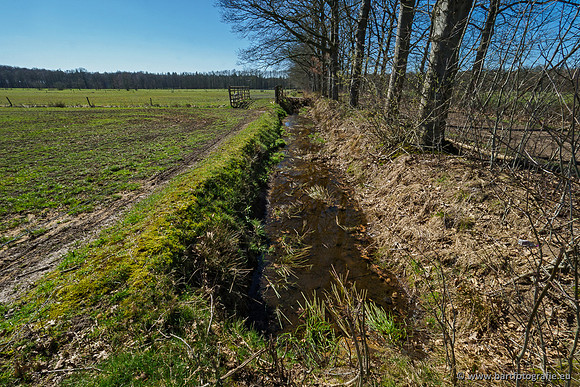 Beken rondom Elspeet 310320-220