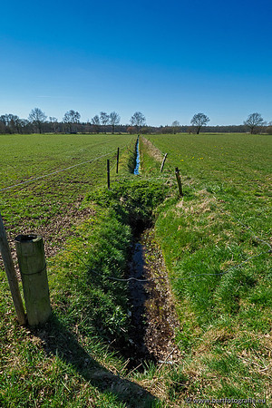 Beken rondom Elspeet 310320-239