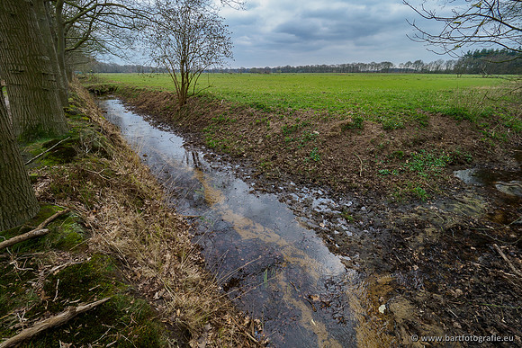 Beken rondom Elspeet 310320-252