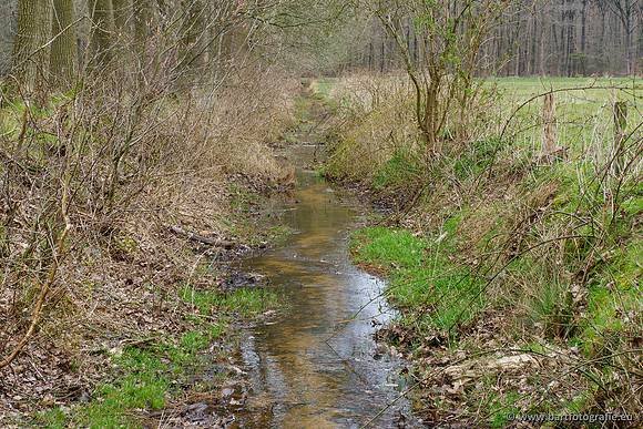 Beken rondom Elspeet 310320-244