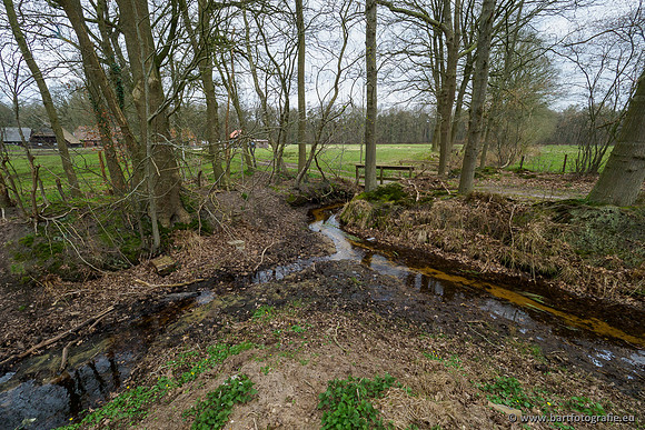 Beken rondom Elspeet 310320-253