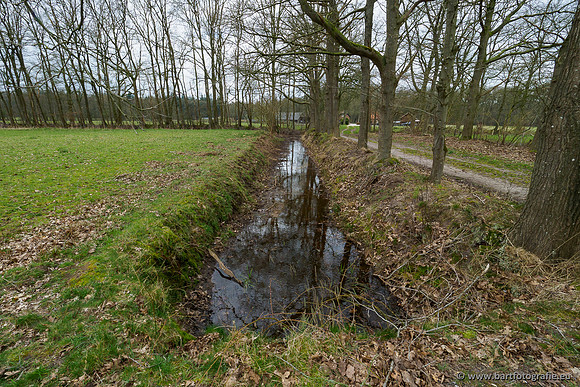 Beken rondom Elspeet 310320-256