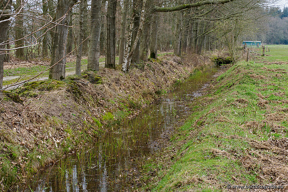 Beken rondom Elspeet 310320-257