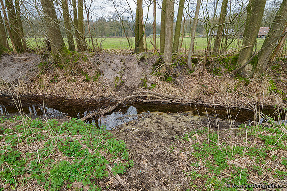 Beken rondom Elspeet 310320-258