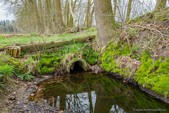 Beken rondom Elspeet 310320-259