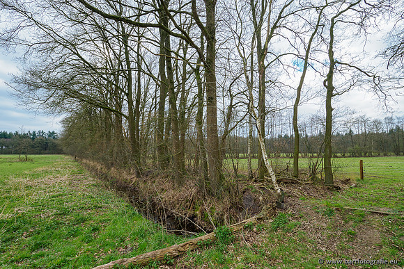 Beken rondom Elspeet 310320-261