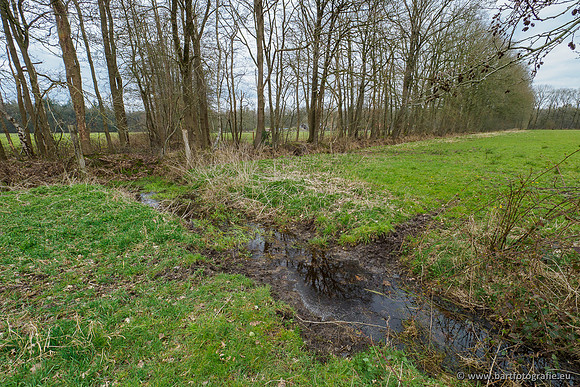 Beken rondom Elspeet 310320-262