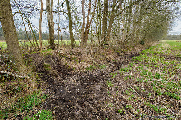 Beken rondom Elspeet 310320-264