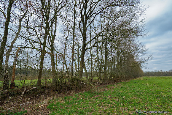 Beken rondom Elspeet 310320-265