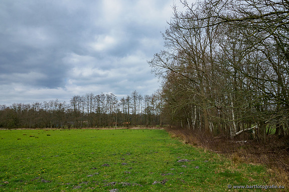 Beken rondom Elspeet 310320-266