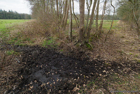 Beken rondom Elspeet 310320-267