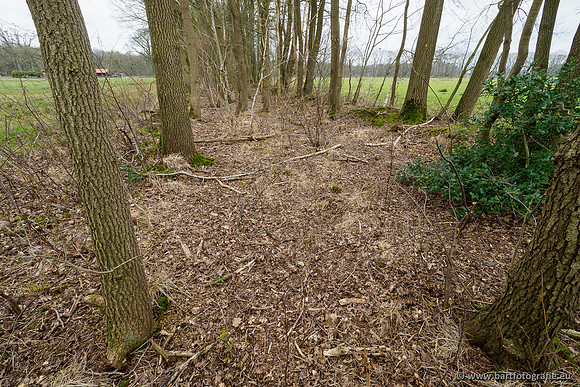 Beken rondom Elspeet 310320-269