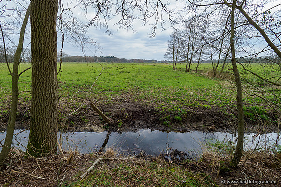 Beken rondom Elspeet 310320-270