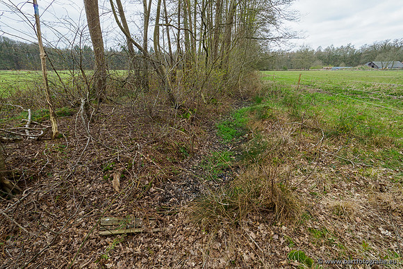 Beken rondom Elspeet 310320-271