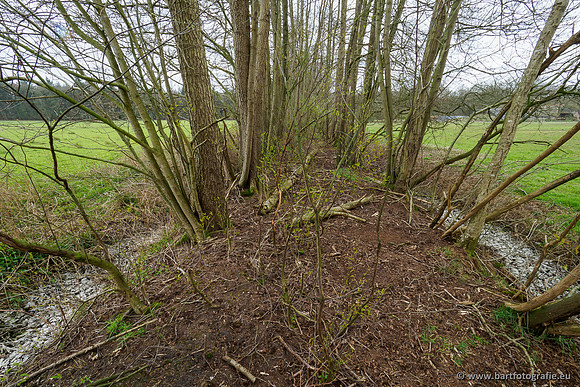 Beken rondom Elspeet 310320-272