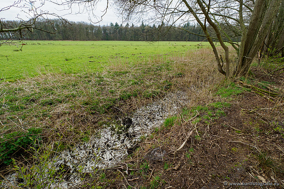 Beken rondom Elspeet 310320-273