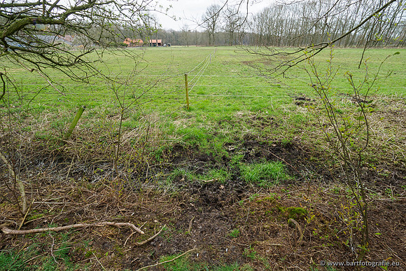 Beken rondom Elspeet 310320-275