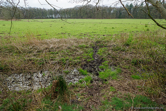 Beken rondom Elspeet 310320-276
