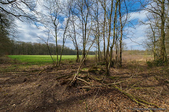 Beken rondom Elspeet 310320-277