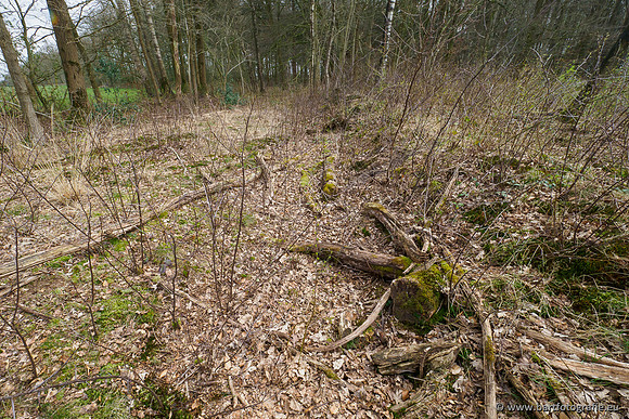 Beken rondom Elspeet 310320-279