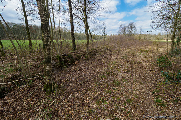 Beken rondom Elspeet 310320-278