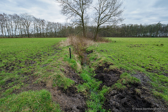 Beken rondom Elspeet 310320-283