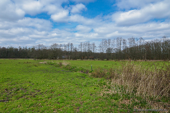 Beken rondom Elspeet 310320-284